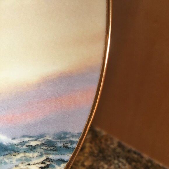 The Golden Age of the Clipper Ship 'Young America, Homeward Bound' Plate - Picture 5 of 8